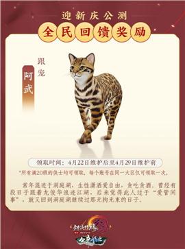 天龙八部私服风云霸业